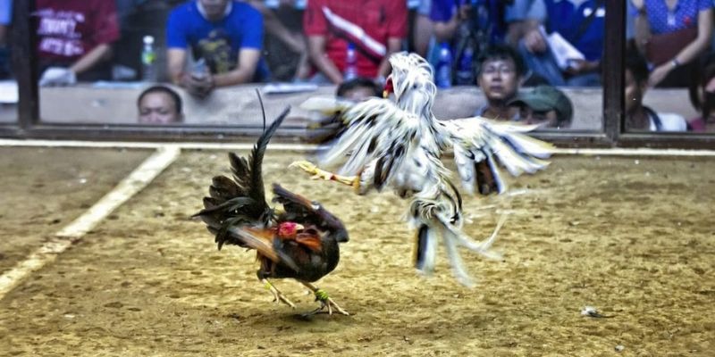 vin777vin ﻿đăng nhập lô đề uy tín