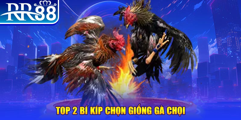 vin777vin bắn cá h5