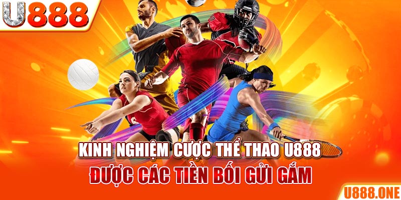 vin777vin ÁT CHỦ BÀI GIÀNH LẤY ZHUANG NIUNIU ( XEM 3 LÁ )