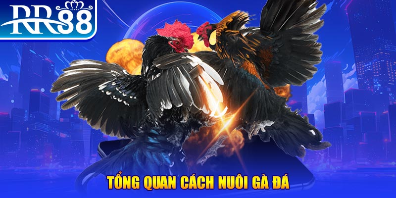 vin777vin xổ số thứ ba