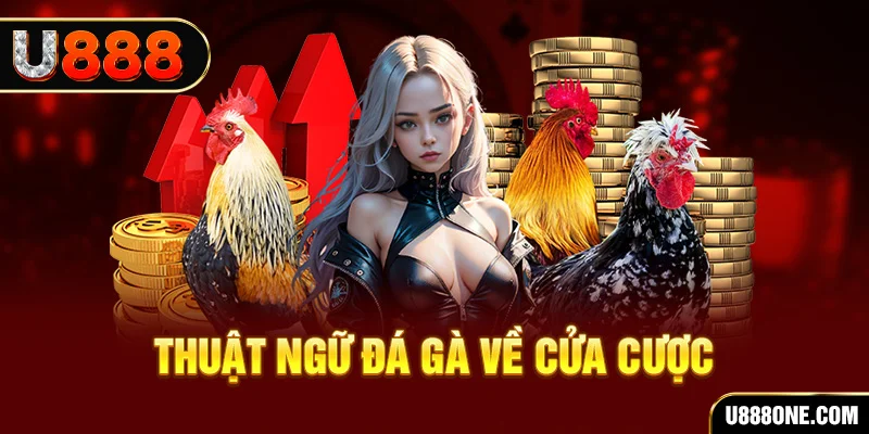 vin777vin da ga 88