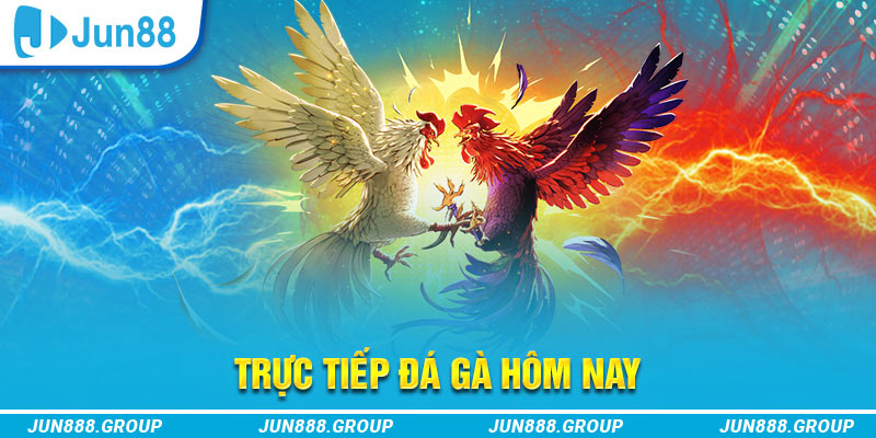 vin777vin trực tiếp đá gà thomo