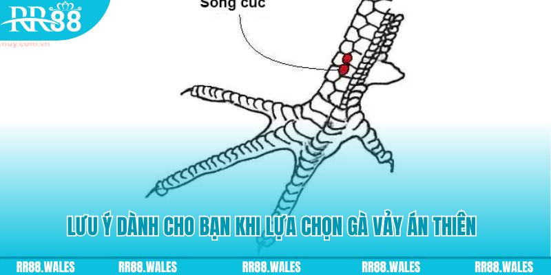 vin777vin xổ số khánh hòa