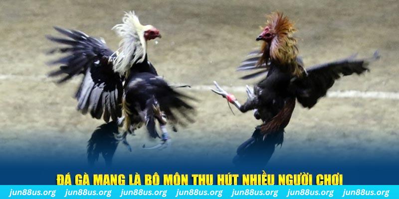 vin777vin xổ số long an
