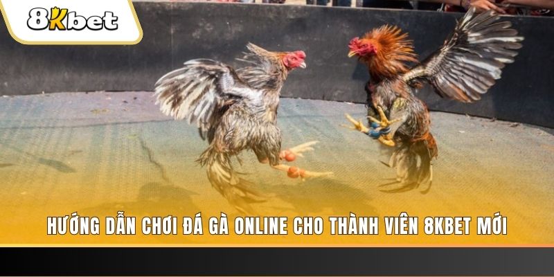 vin777vin nổ hũ đổi thưởng . ai