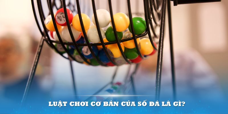 vin777vin Đĩa màu ace