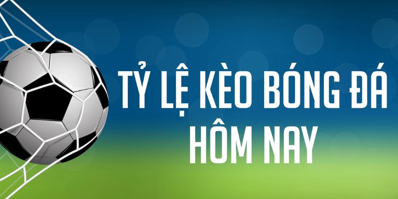 vin777vin ÁT CHỦ MÁY HOA QUẢ THẦN TÀI