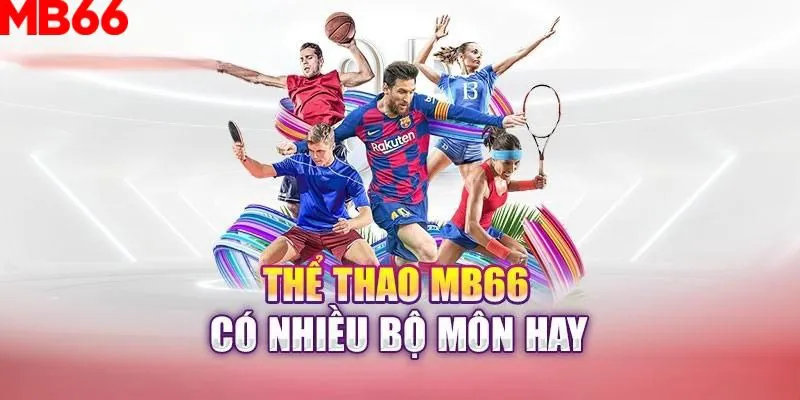 vin777vin slot là gì nghĩa