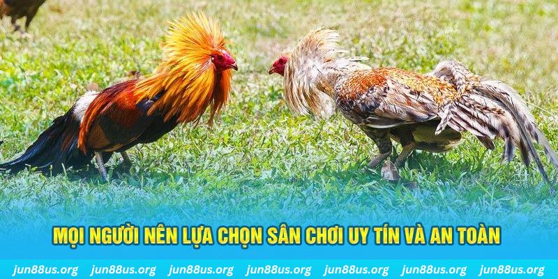 vin777vin Tài Xỉu