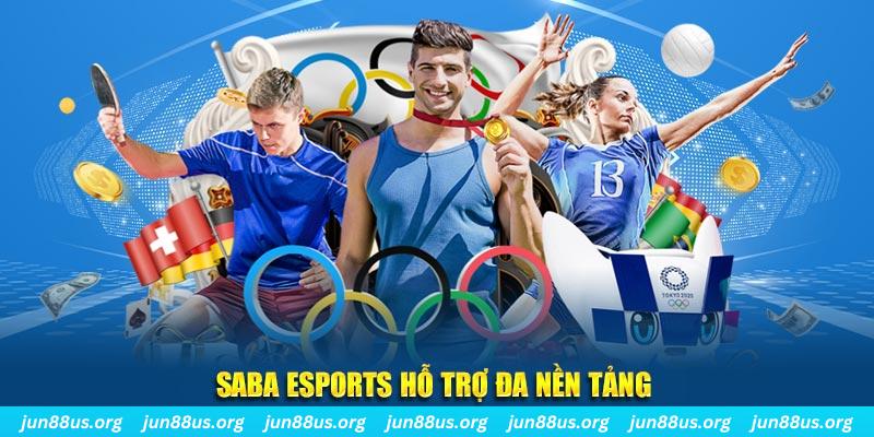 vin777vin gà chọi cu cần