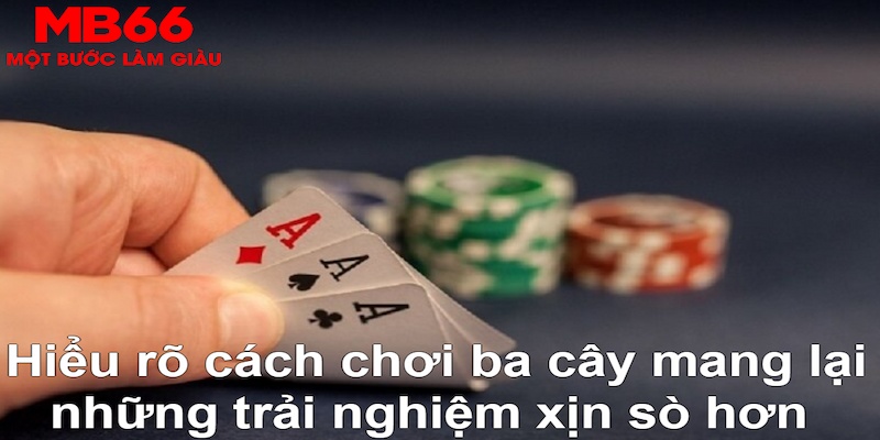 vin777vin DB Trực Tuyến