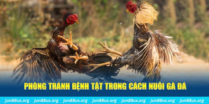 vin777vin natural” trong baccarat nghĩa là gì？
