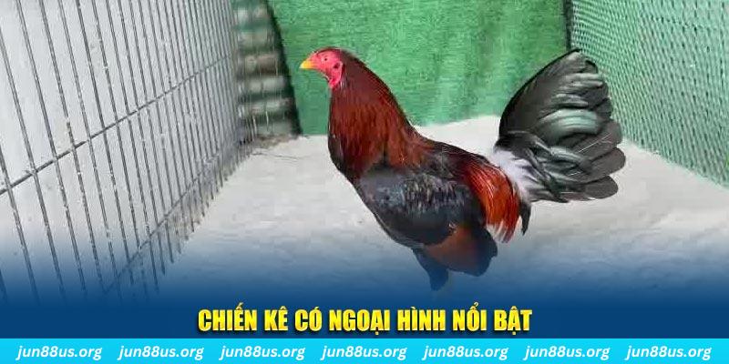 vin777vin nhạc slot là gì